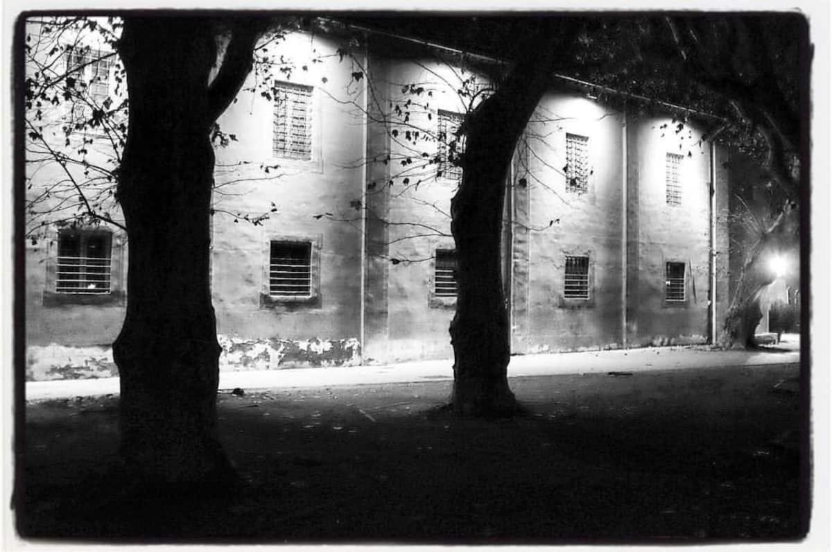 The Galileo Apartment Pisa Exteriör bild